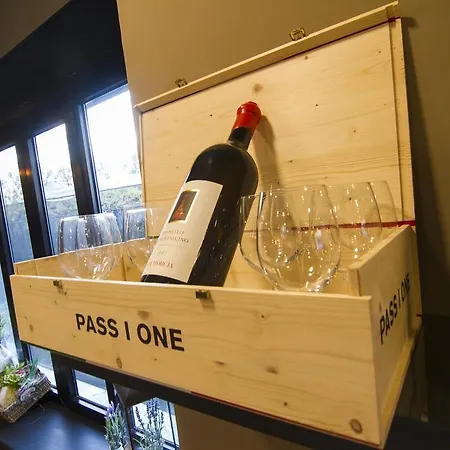 酒店 阿拉玛诺皮克洛酒店