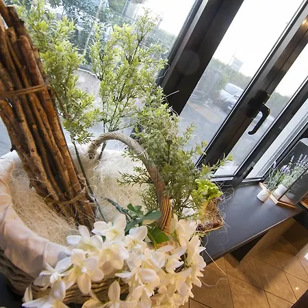 阿拉玛诺皮克洛酒店 3*