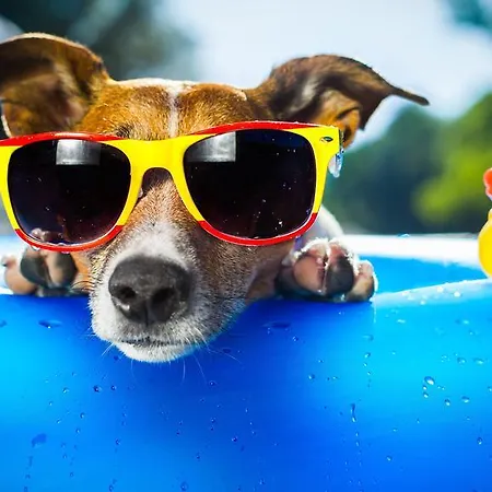 Piccolo Allamano Grugliasco