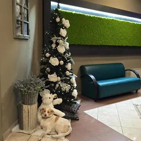 酒店 阿拉玛诺皮克洛酒店 格鲁格里亚斯科