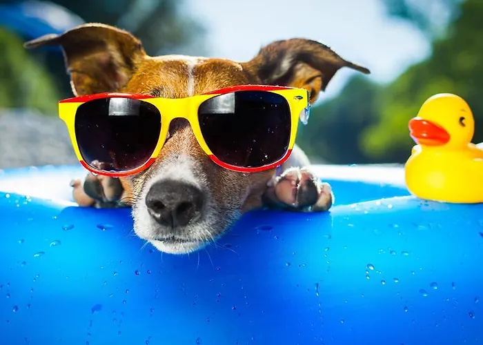 Piccolo Allamano Grugliasco